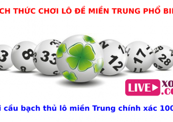 Cách soi cầu bạch thủ lô miền Trung ngày hôm nay chính xác 100%