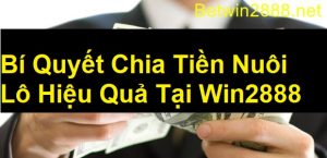 Bí Quyết Chia Tiền Nuôi Lô Hiệu Quả Tại Win2888 - Không Phải Ai Cũng Biết