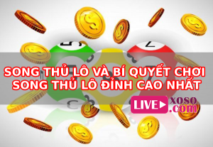 Song thủ lô và bí quyết chơi song thủ lô đỉnh cao nhất